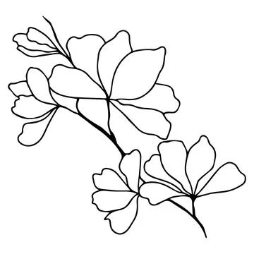 Leaf isolated on white background. illustration of a green leaf. Flowers Stock Illustration