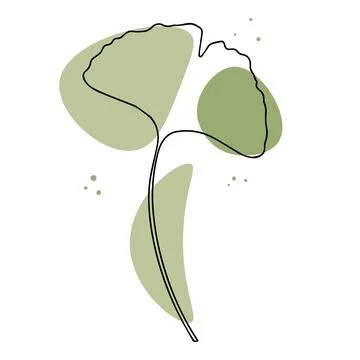 Leaf isolated on white background. illustration of a green leaf. Flowers Stock Illustration