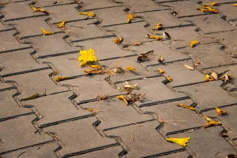 A leaf is laying on a brick walkway Foto stock