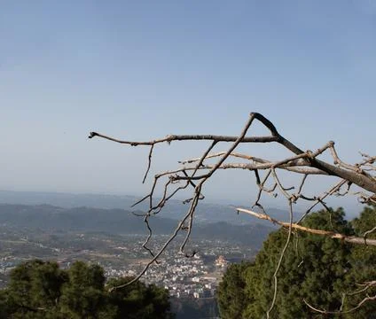 A leaf less branch of tree in the foregroung with vast wide mountains. Stock Photos