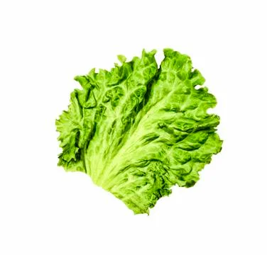 Leaf lettuce, Leaf, fresh, salad, isolated, white background 写真素材