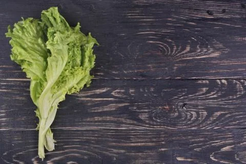Leaf lettuce Stock Photos