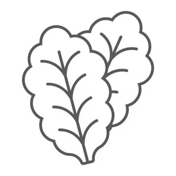 Leaf Lettuce thin line icon, vegetable Stock Illustration