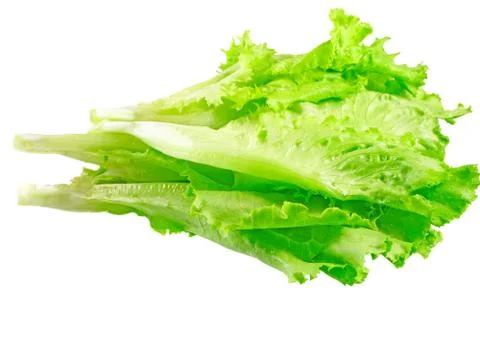 Leaf of lettuce on white background. Isolated Stock Photos