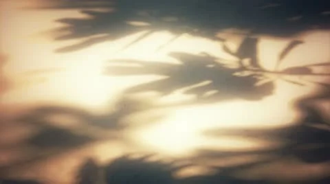 Leaf Light and Shadow Silhouette 库存影片 22025069