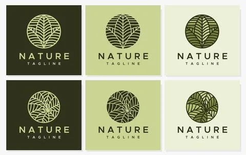 Leaf line circle logo design set. Modern nature line logo template collection. Stock Illustration