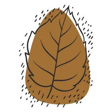 Leaf line icon set, leaves - plant elements, icons Stock Illustration