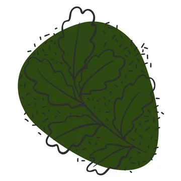 Leaf line icon set, leaves - plant elements, icons 스톡 일러스트