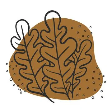 Leaf line icon set, leaves - plant elements, icons 스톡 일러스트