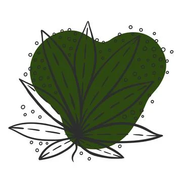 Leaf line icon set, leaves - plant elements, icons 스톡 일러스트