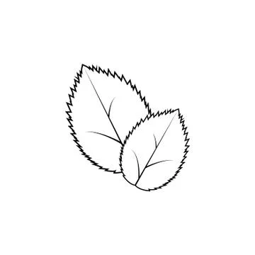 Leaf line icon, vector illustration. black on white background Stock Illustration