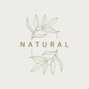 Leaf Line Logo, Beautiful Hand Drawn Design, Botanical Minimalist Vector, S.. Stock Illustration