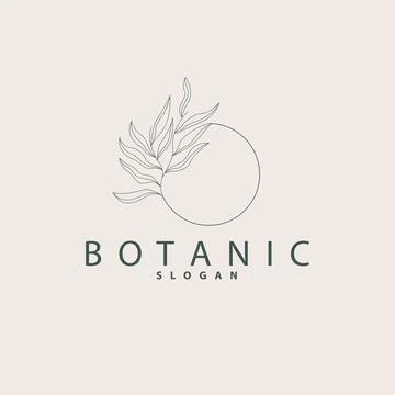 Leaf Line Logo, Beautiful Hand Drawn Design, Botanical Minimalist Vector, S.. Stock Illustration