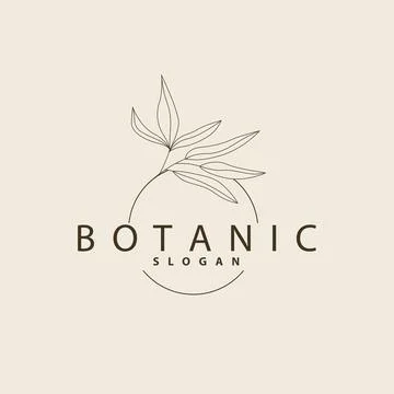 Leaf Line Logo, Beautiful Hand Drawn Design, Botanical Minimalist Vector, S.. Stock Illustration