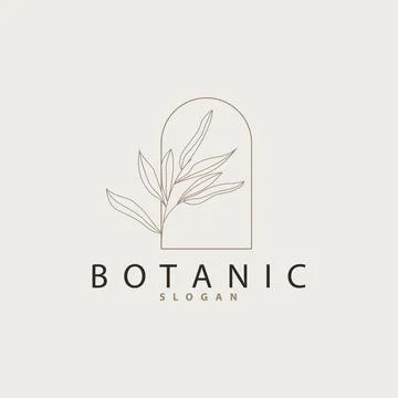 Leaf Line Logo, Beautiful Hand Drawn Design, Botanical Minimalist Vector, S.. Stock Illustration