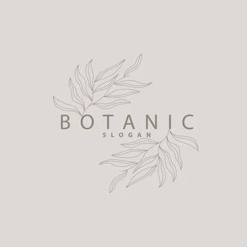 Leaf Line Logo, Beautiful Hand Drawn Design, Botanical Minimalist Vector, S.. Stock Illustration