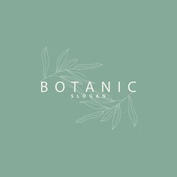 Leaf Line Logo, Beautiful Hand Drawn Design, Botanical Minimalist Vector, S.. Stock Illustration