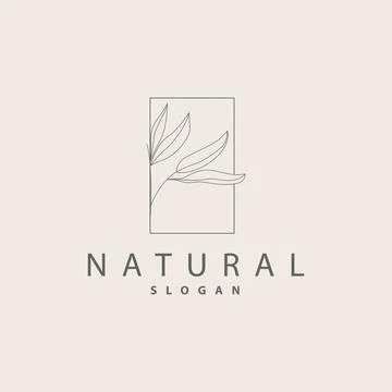 Leaf Line Logo, Beautiful Hand Drawn Design, Botanical Minimalist Vector, S.. Stock Illustration