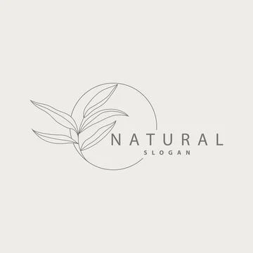 Leaf Line Logo, Beautiful Hand Drawn Design, Botanical Minimalist Vector, S.. Stock Illustration