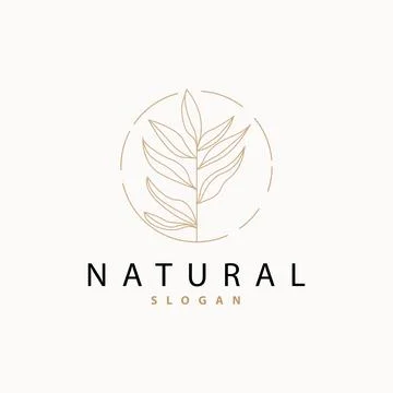Leaf Line Logo, Beautiful Hand Drawn Design, Botanical Minimalist Vector, S.. Stock Illustration