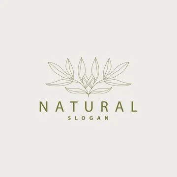 Leaf Line Logo, Beautiful Hand Drawn Design, Botanical Minimalist Vector, S.. Stock Illustration