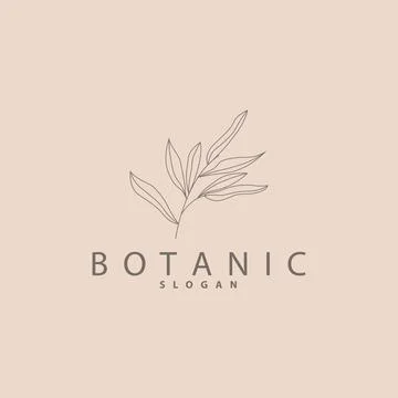 Leaf Line Logo, Beautiful Hand Drawn Design, Botanical Minimalist Vector, S.. Stock Illustration