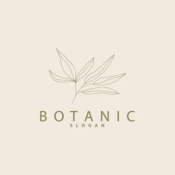 Leaf Line Logo, Beautiful Hand Drawn Design, Botanical Minimalist Vector, S.. Stock Illustration