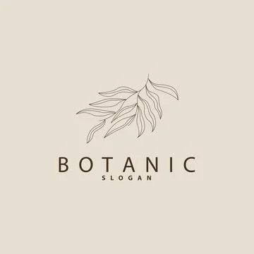 Leaf Line Logo, Beautiful Hand Drawn Design, Botanical Minimalist Vector, S.. Stock Illustration