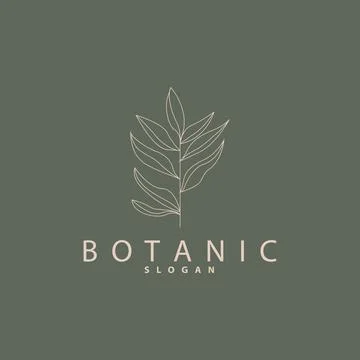 Leaf Line Logo, Beautiful Hand Drawn Design, Botanical Minimalist Vector, S.. Stock Illustration