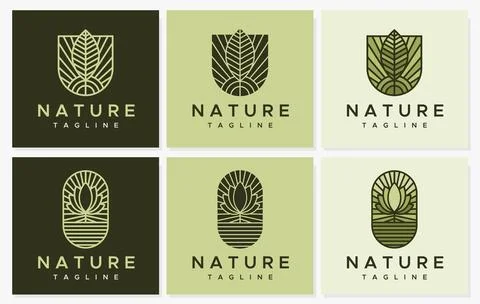 Leaf line logo design template collection. Simple line plant logo vector bundle. Stock Illustration
