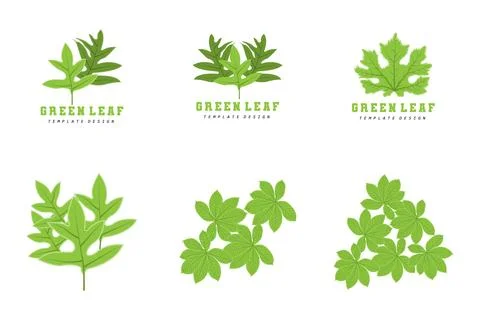 Leaf Lines logo design, Background Icons Artwork Artwork Colors pAstel Ilustración de archivo