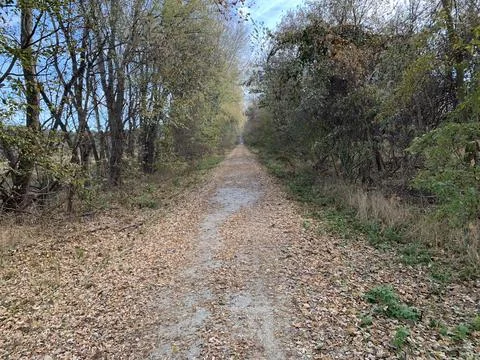 Leaf litter on the Katy Trail Stock Photos