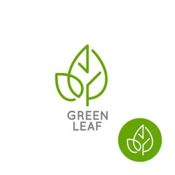 Leaf logo concept. Green leaf line on white background Stock Illustration