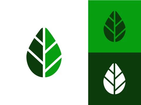 Leaf Logo Design Stock Illustration