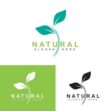 Leaf logo design Stock Illustration