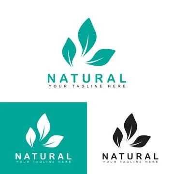 Leaf logo design template Stock-Illustration