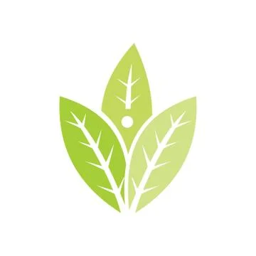 Leaf Logo Design Vector Template Isolated Stock-Illustration