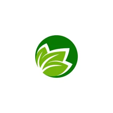 Leaf logo design vectors for spa and esthetics Illustrazione stock