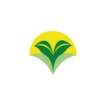 Leaf logo. Different shapes and colors of leaves, perfect for illustration Stock Illustration