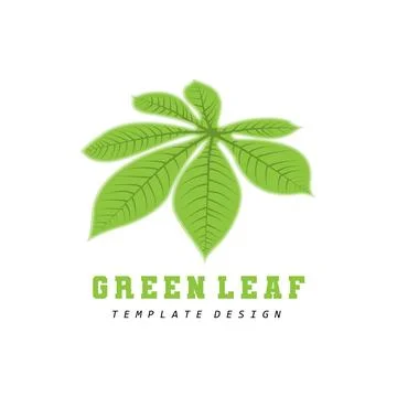 Leaf Logo Green Plant Design Leaves Of Trees Product Brand Template Illustr.. Stock Illustration