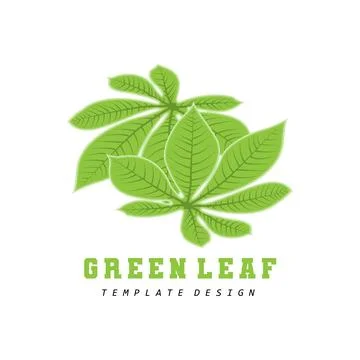Leaf Logo Green Plant Design Leaves Of Trees Product Brand Template Illustr.. Stock Illustration