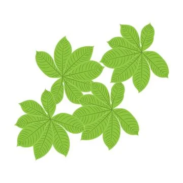 Leaf Logo Green Plant Design Leaves Of Trees Product Brand Template Illustr.. Stock Illustration
