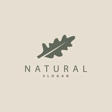 Leaf Logo, Oak Leaf Logo Design, Minimalist Natural Plant Tree Vector, Illu.. Stock Illustration