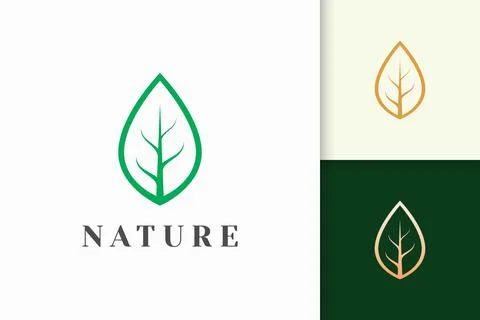 Leaf logo in simple line shape for beauty and health brand Stock Illustration