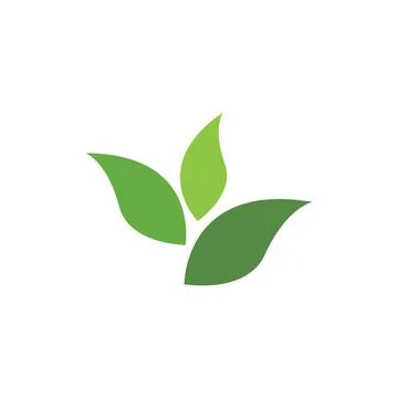 Leaf Logo Template vector symbol Stock Illustration
