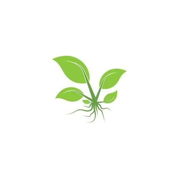 Leaf Logo Template vector symbol Illustration