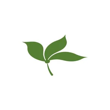 Leaf Logo Template vector symbol 스톡 일러스트