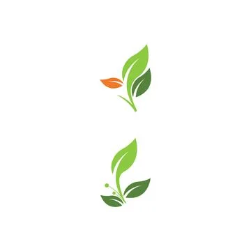 Leaf Logo Template vector symbol 库存插图