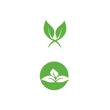 Leaf Logo Template vector symbol Illustration