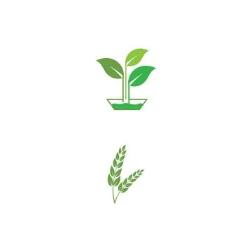 Leaf Logo Template vector symbol 스톡 일러스트